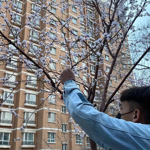 拍击 青少年 业余 打板子
