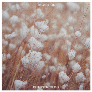 拍击 青少年 业余 打板子
